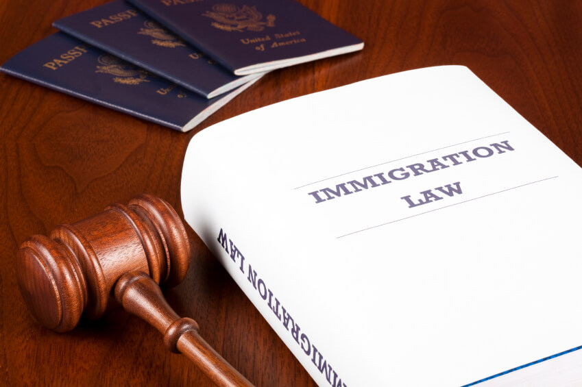 immigration court system